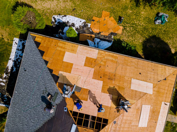 Best Storm Damage Roof Repair  in Westport, WA